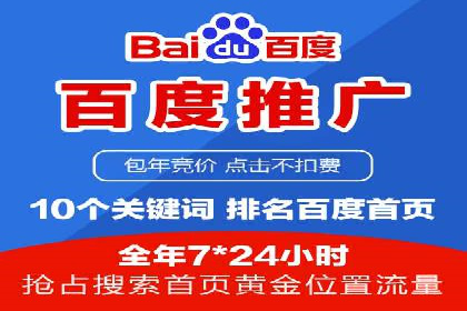 SEO与SEM优化案例：打造行业领先品牌